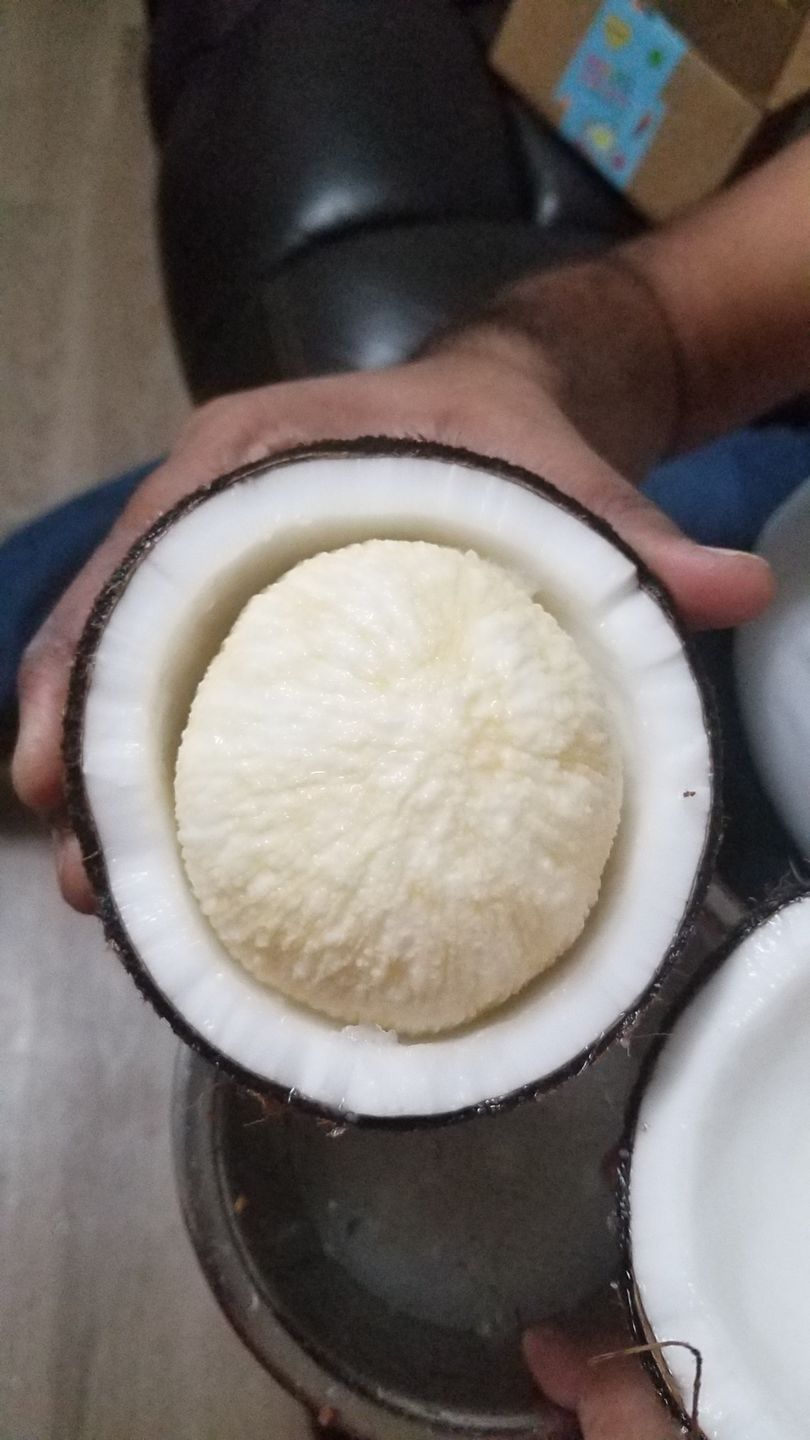 Customer photo review of Sprouted Coconut Box