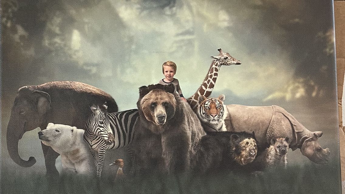 Customer photo review of Wildlife