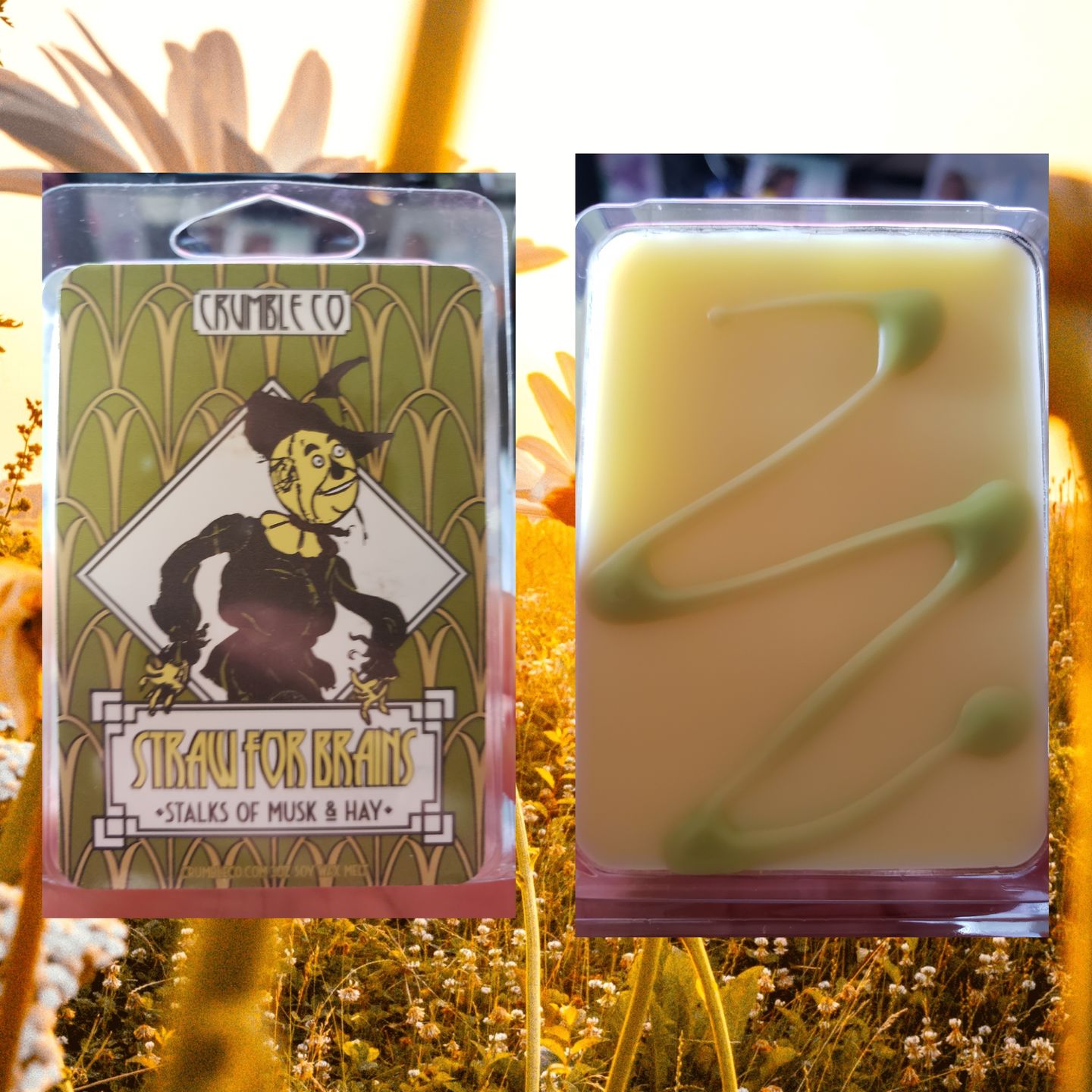 Customer photo review of Straw for Brains Wax Melts