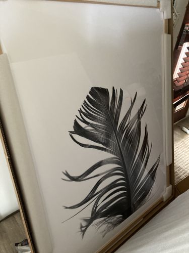 Customer photo review of Feather III | Black