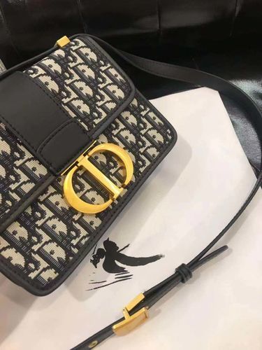 Customer photo review of DO01 - 30 Montaigne Oblique Bag