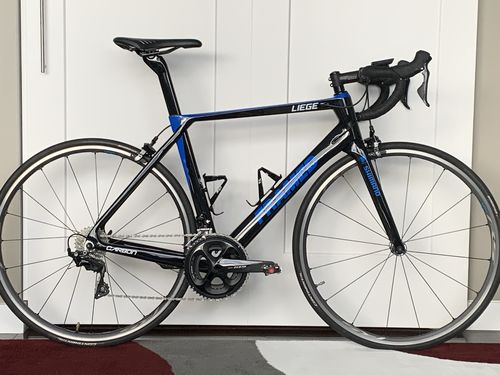 Customer photo review of Liege Carbon Frame and Fork