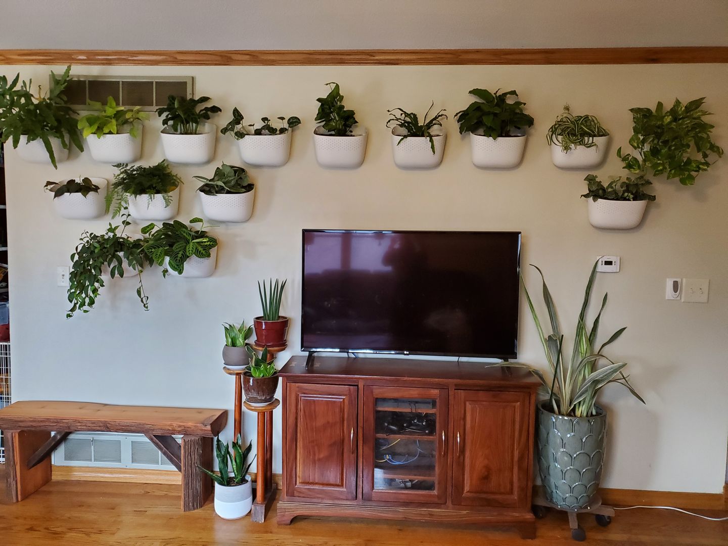 Customer photo review of Eco White Wall Planter