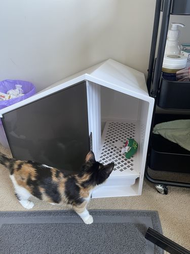 Customer photo review of Furrytail XL Semi-Closed Glow House Cat Litter Box with Scoop