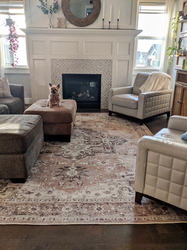 Customer photo review of Distressed Vintage Cezanne Blush Area Rug