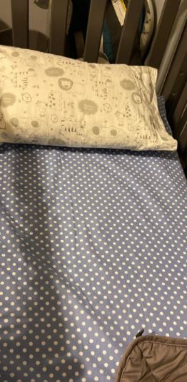Customer photo review of Hypoallergenic Toddler Pillow with 100% Cotton Pillowcase