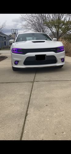 Customer photo review of 2015-2021 Dodge Charger RGBW Multicolor DRL Boards