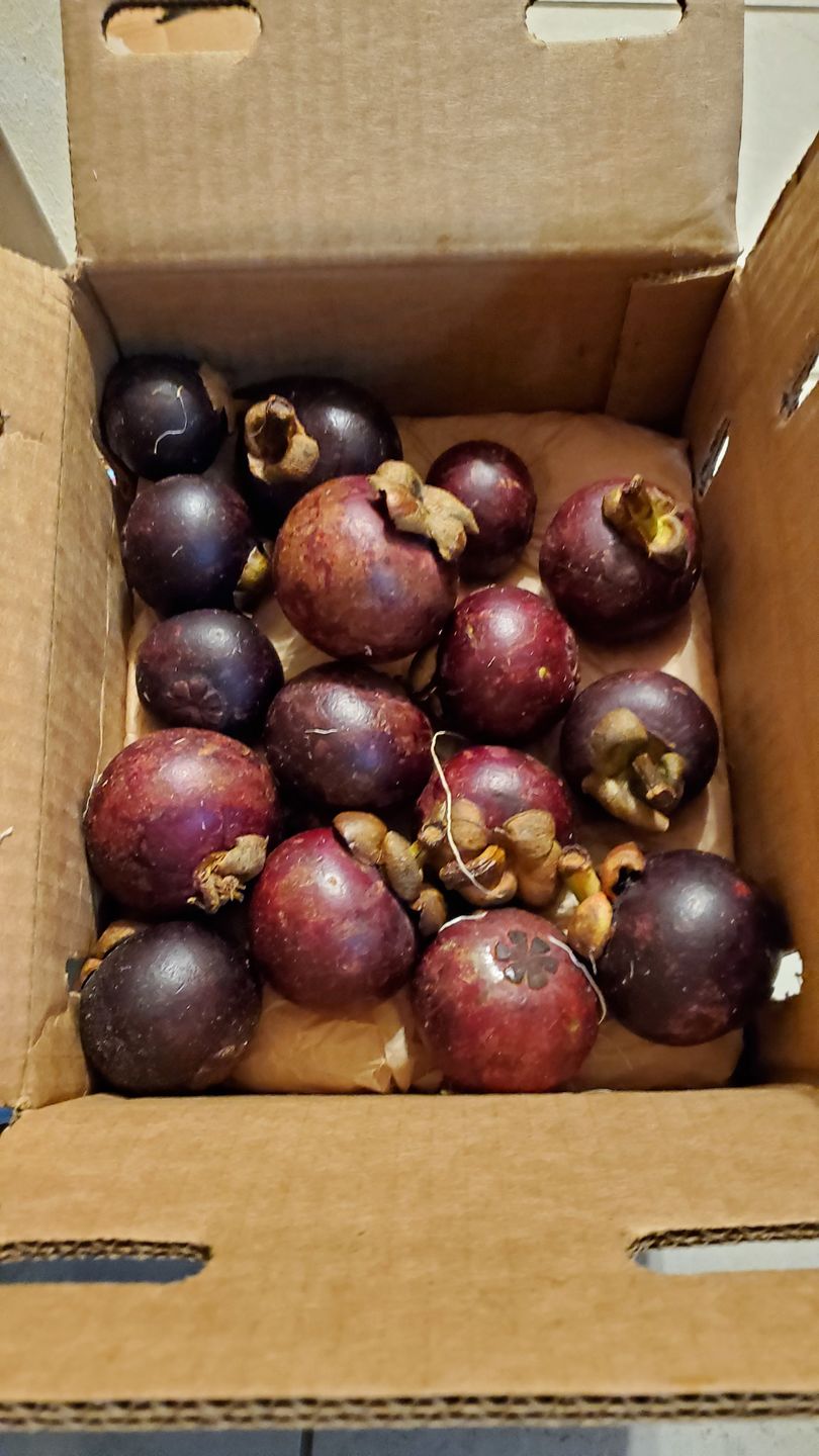 Customer photo review of Mangosteen