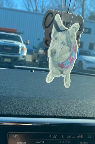 Customer photo review of Custom Air Freshener