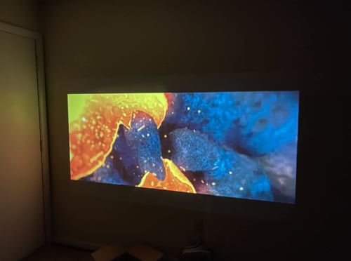 Customer photo review of Hero Plug™ - Leisure PRO Projector