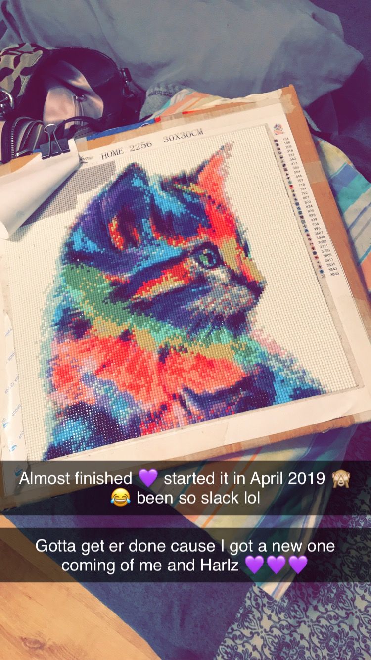 Customer photo review of Colorful Cat - Diamond Painting Kit