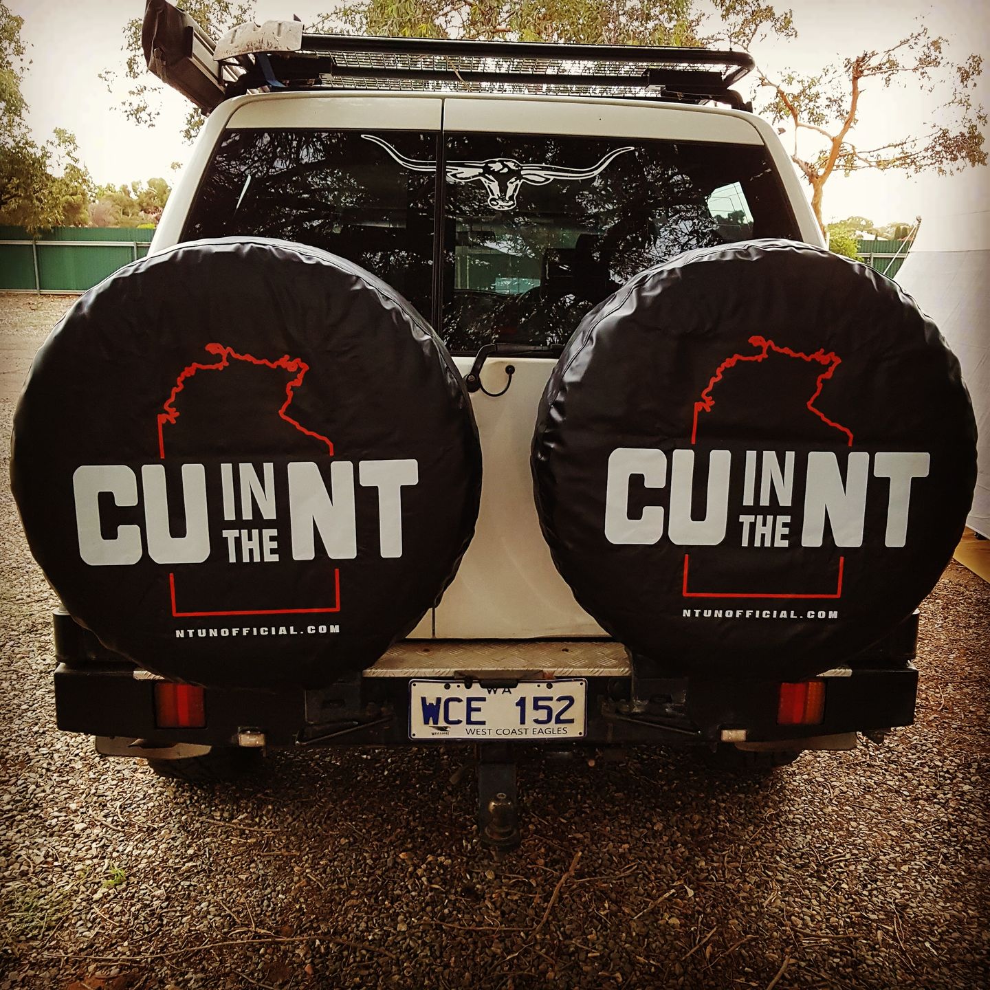 Customer photo review of NT Wheel Cover