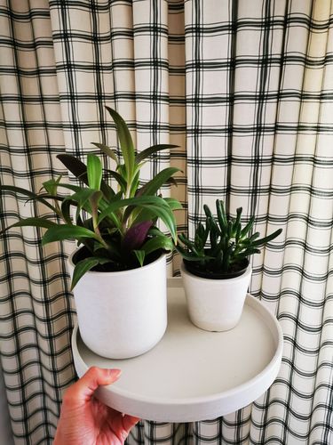 Customer photo review of Signature Stone (3”, 4”, 10” Saucer)