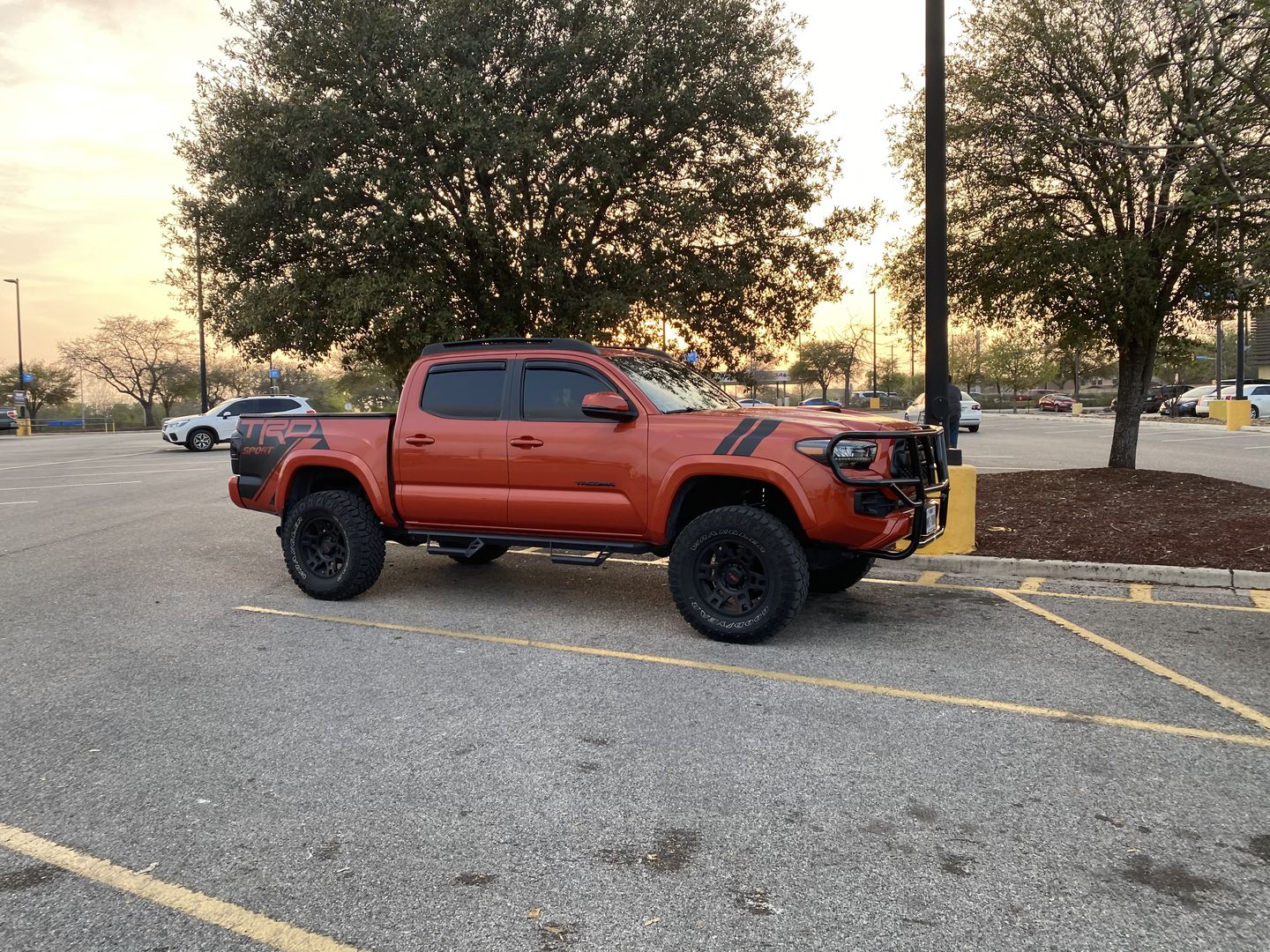 Customer photo review of Toyota V6 Performance Coil Packs