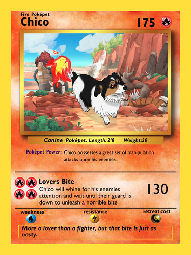 Customer photo review of Number of Pokepets and Trainers