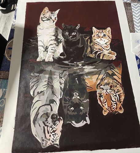 Customer photo review of Gatos soñando