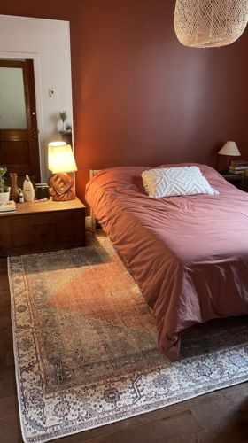 Customer photo review of Distressed Vintage Belle Rust Blue Rug