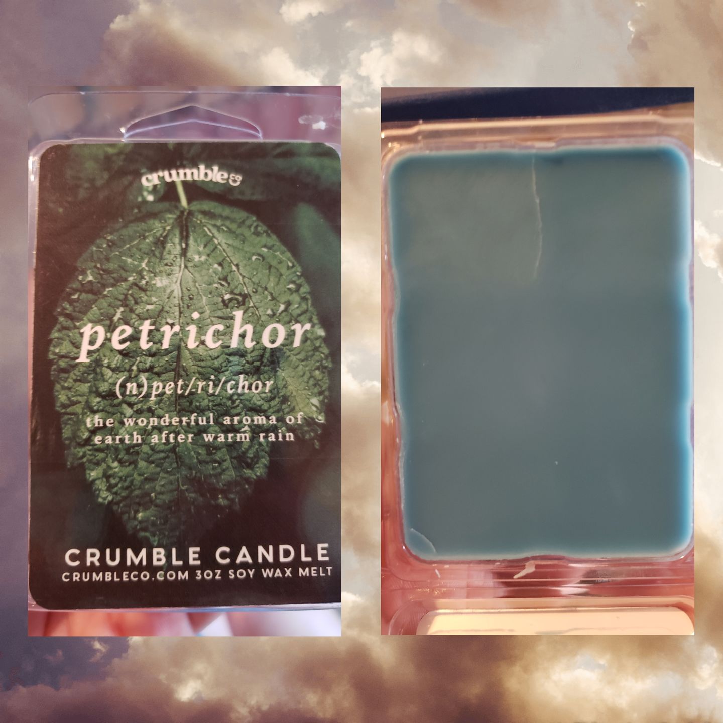 Customer photo review of Petrichor Wax Melts