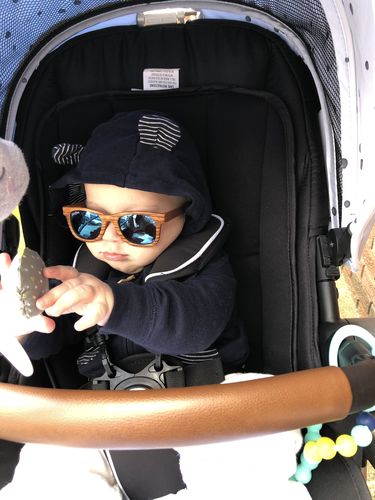 Customer photo review of Holle Goat Stage 1 Organic (Bio) Infant Milk Formula (400g), 1 Box