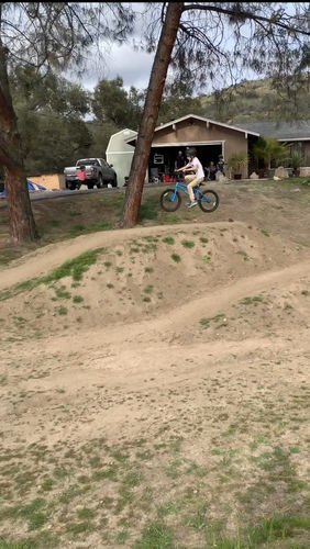 Customer photo review of Team BMX Bike 20in