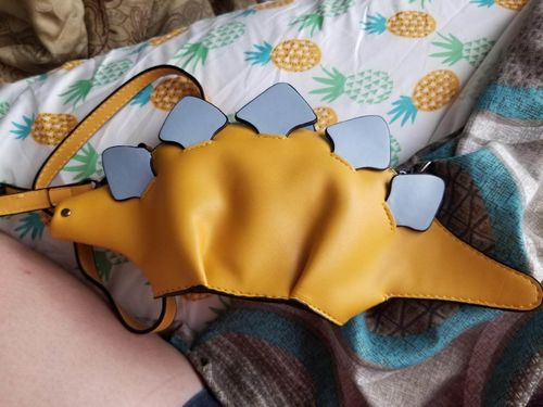 Customer photo review of THE 'STEG' BAG