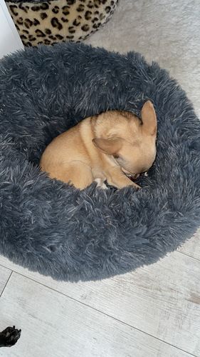 Customer photo review of Puppery Kuschelbett - Das Original