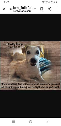 Customer photo review of Wooden Animal Portrait Sign | Personalized Canvas Wall Art