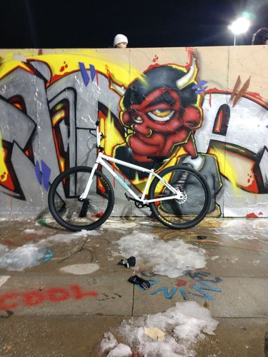 Customer photo review of Twenty9er BMX Bike