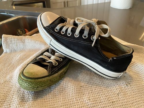 Customer photo review of SNEAKER CARE KIT