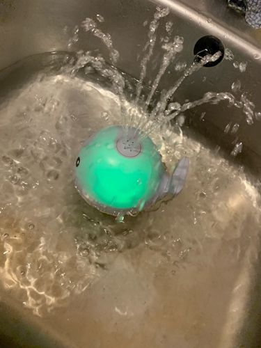 Customer photo review of Toddla Whale Bath Toy