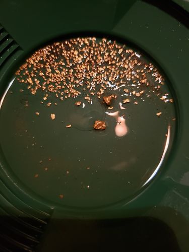 Customer photo review of *BOGO* Goldn Paydirt '$5,000 Nugget Giveaway' - Gold Panning Paydirt Concentrate