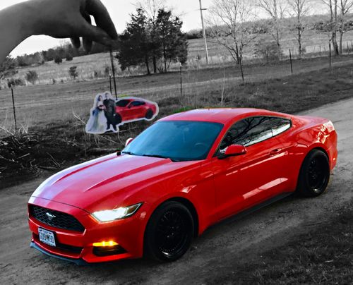 Customer photo review of Custom Air Freshener