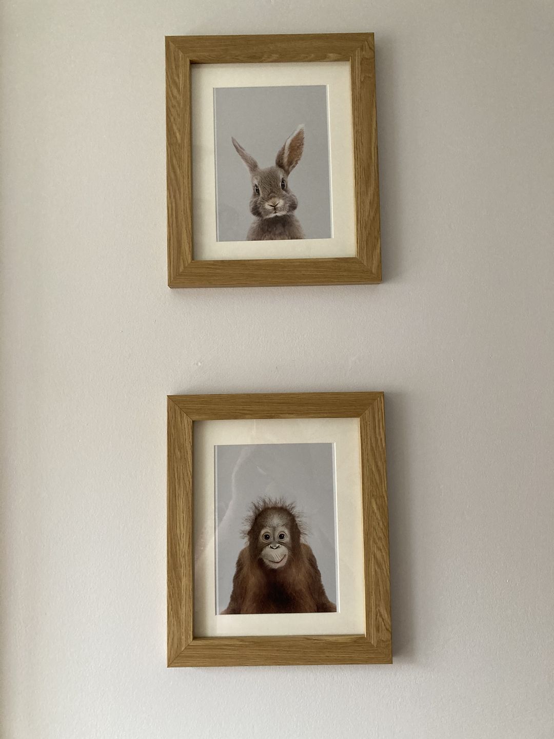 Customer photo review of Orangutan Print