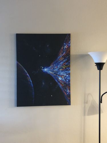 Customer photo review of Big Difference Canvas Set
