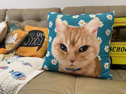 Customer photo review of 【客製】手繪寵物 胖胖抱枕 Custom Pet Portrait Pillow