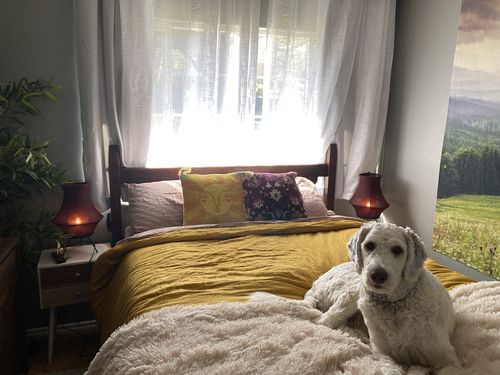 Customer photo review of Emuna Hook Pillow by Jungalow®