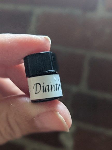 Customer photo review of Dianthus