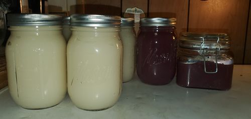 Customer photo review of Raw Wildcrafted Dried Sea Moss