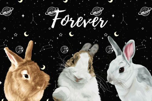 Customer photo review of 【客製】手繪寵物 法蘭絨毛毯 Custom Pet Fleece Blanket
