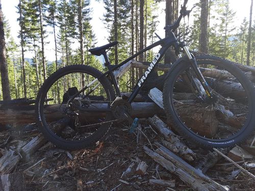 Customer photo review of Rendal Alloy Mountain Bike 29"