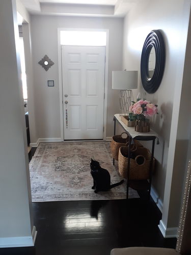 Customer photo review of Distressed Vintage Cezanne Blush Area Rug