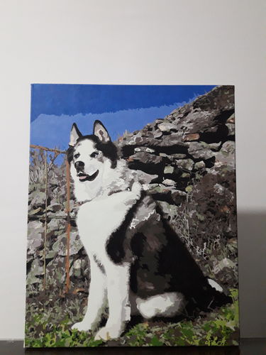 Customer photo review of ¡Regalo Gratis!