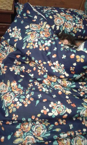 Customer photo review of Navy Peony-Duvet Cover Set