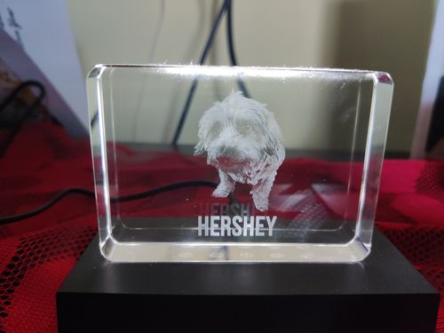 Customer photo review of Crystal Photo Block 3D Laser Engraving, Personalized Glass Etched Picture Hologram Print Gift, Mom Dad Grandpa Pet Dog Baby Wedding Memories