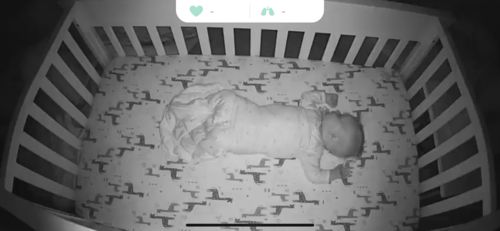 Customer photo review of Dream Weighted Sleep Sack, 6-12 months old