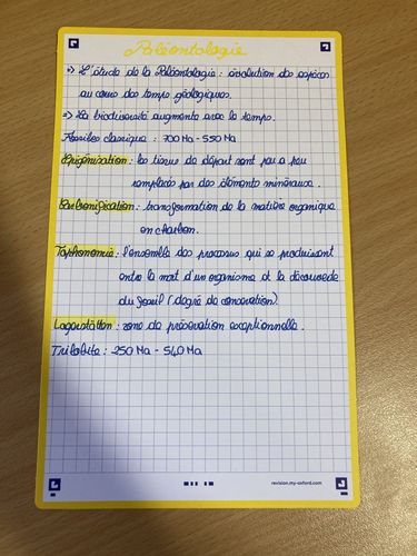 Avis photo d'un client sur Fiches de révision REVISION 2.0 OXFORD # 50 fiches 12,5 x 20 cm - petits carreaux