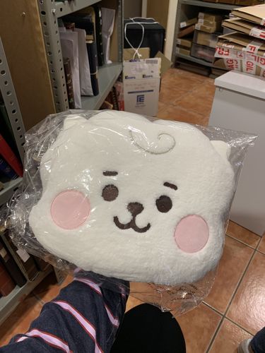 Customer photo review of [Official] BT21 BABY PLUSH PILLOW