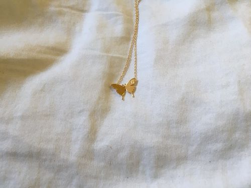 Customer photo review of AC Butterfly Initial Necklace