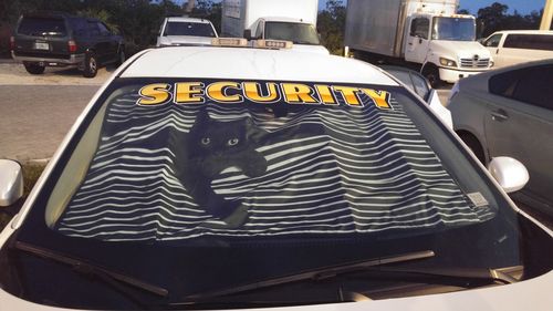 Customer photo review of Funny Cat Meow Car Sunshade