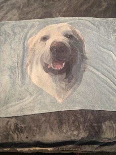 Customer photo review of Custom Pet Print Fleece Blanket